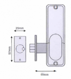 Eurocage Mesh Security Cage - Galvanised Warehouse Ladder